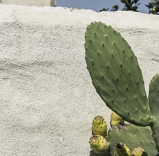 Don Totu - Dimora Storica San Cassiano (Lecce)