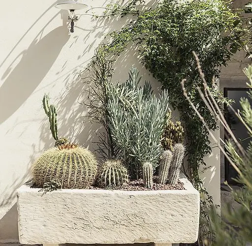 Don Totu - Dimora Storica Nocleg ze śniadaniem 4*